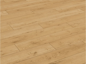 tmp24350bcca6a4955a9189e63427b52835