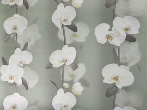 7c63b40cdf54ae3bea0a1e6dbbd5d2ac