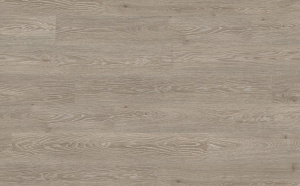 epl150-dub-chezena-seryj-1-l-539