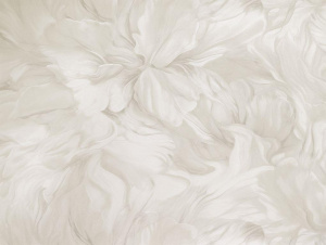 2z6126epfrgj3s9sq6n7ih1oy0zxex3n