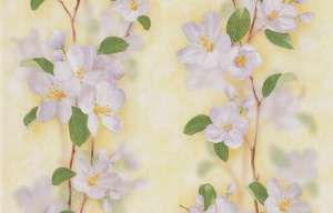 57089ff902184cb881a0a82842f82fd1