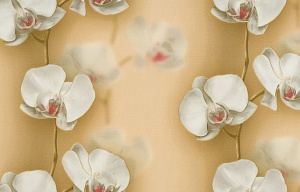 С6БР ГП Грация 2