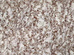 ec28accef4318869783ff9a885618b69