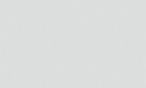 OboiDaErismann60290-05