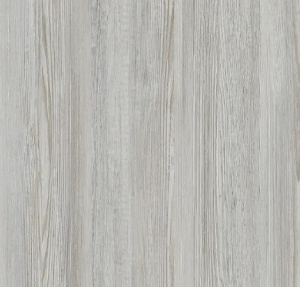 сосна астана