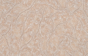 c0b28677_568d_11e7_80ce_0cc47a538c8d_fe40f77e_75bf_11e7_a807_d485646670dc.resize1