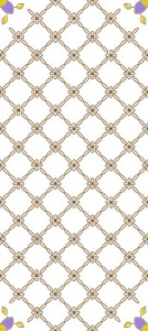 131201_Lido_oblitsovka_200_450