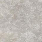 париж темно-серые цветы