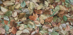 4d8f443b95dafb7cd2c570b0c736d756