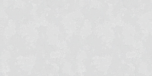 60731-06