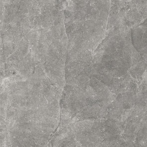 Rona_Seryy_1uchastok