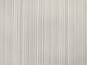 30041