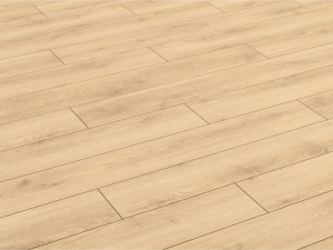 tmp752baa5a411ae16f82e654dd514cd941