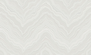 61a5a5488861121e2e6bca7e51e6ad53