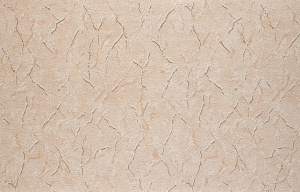 С6БР Саванна 2