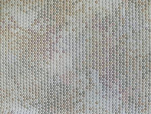 d718990aef2929efa6aaaab6d2f0ca78