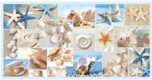 a83dcf421caec097bb7eccc051848b3f