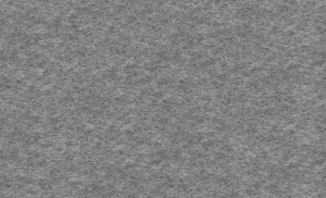 1461600a38e9154a4b278cdf9b9cadfa