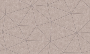 10-1025 Кассиопея 62