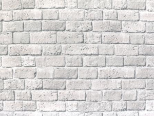 dacbc4c7da6feb3495169db147237bdc