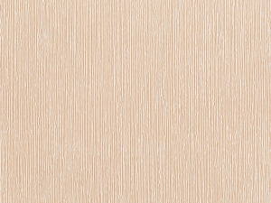 B831753D-083A-4AC5-86D6-DD363F8AB776