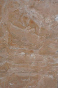 2256_NIZ