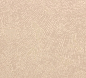 3526432356623424322242414