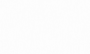 OboiDaErismann60268-12