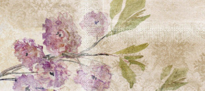 10_Akvarela_oblitsovka_450_200