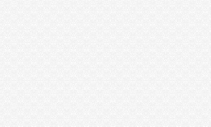 058c017f15cdd8d28ef9230686a8b123