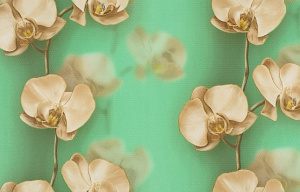 С6БР ГП Грация 5