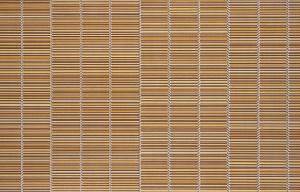 С6БР Тростник