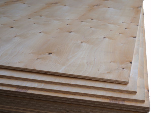 d52ef3ef4941ef2a4f6b3a80384e59ad