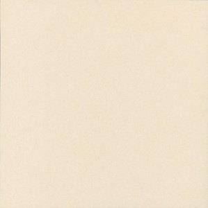 keramogranit_napolnyy_010408001206_tehnogres_bezhevyy_03_v2_60h60_shahtinskaya_plitka_106