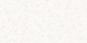 2813-2