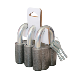 VS2M1__3_zamka__6_klyuchey_1-500x500