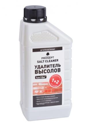 Prosept salt 1L