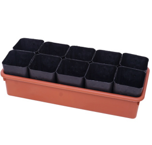 995363869434636582672526