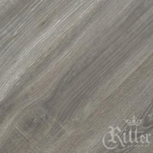 дуб северный