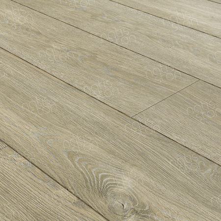 y8tfw45bxuag2a875xefjivdfflvpi3q