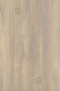 Дуб Мендель D50137