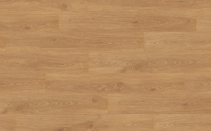 epl105-dub-shenon-medovyj-1-l268