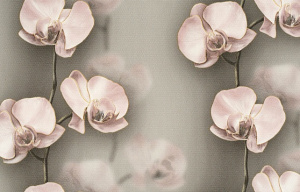 С6БР ГП Грация 3