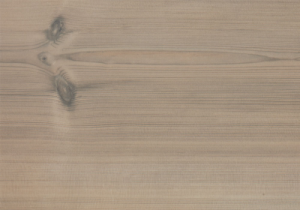 161570-product.1600x1000