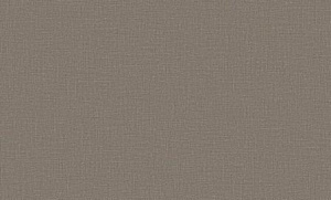 10-1003 Канва 62