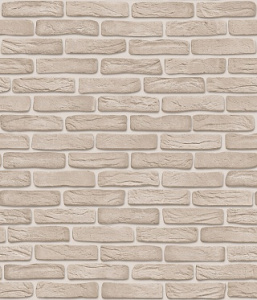 Сканди-фон 8 С1БР-ГП