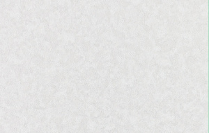 8060-21_8b7ef8e55d8c2e2cf04b94004f945631