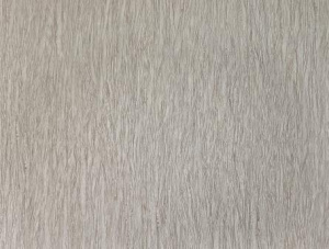 673ac071ce16a8f518a548bf1b4ffa4e