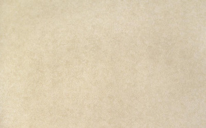 238acbe143c5b472178519aaacca572e