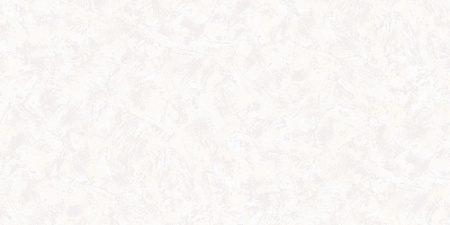 2813-2